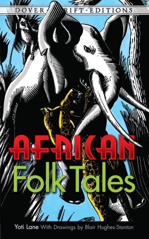 Cover of the book African Folk Tales by Ali Dowlatshahi