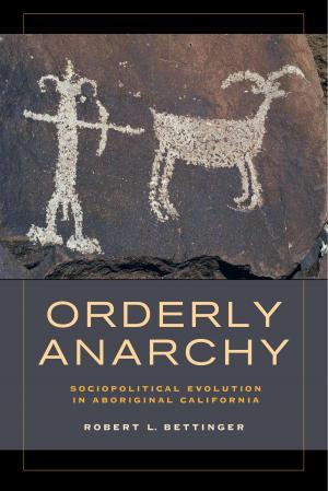 Cover of the book Orderly Anarchy by Anne Allison