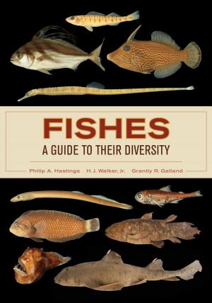 bigCover of the book Fishes: A Guide to Their Diversity by 