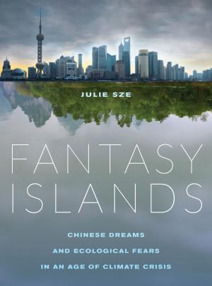 Cover of the book Fantasy Islands by Ilana Feldman