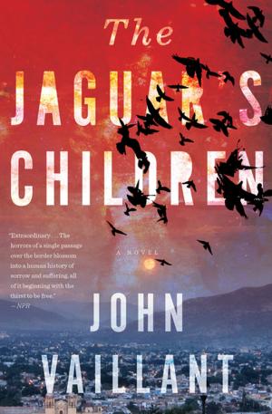 Cover of the book The Jaguar's Children by Terry McMillan