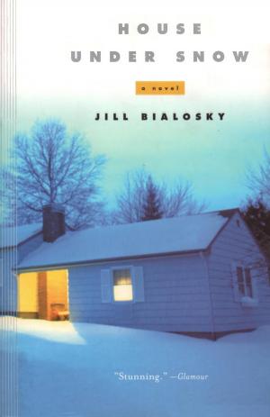 Cover of the book House Under Snow by Linda Williams Jackson