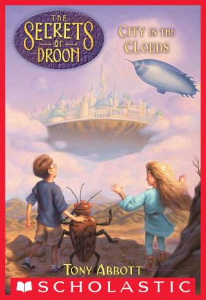 Book cover of The Secrets of Droon #4: City in the Clouds