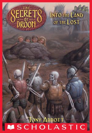 Book cover of The Secrets of Droon #7: Into the Land of the Lost