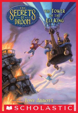 bigCover of the book The Secrets of Droon #9: The Tower of the Elf King by 