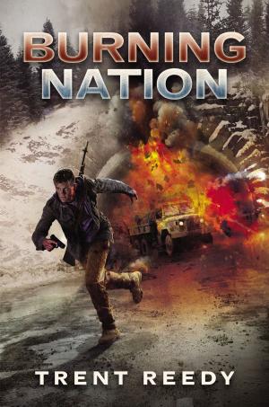 Cover of the book Burning Nation (Divided We Fall, Book 2) by Rebecca McCarthy