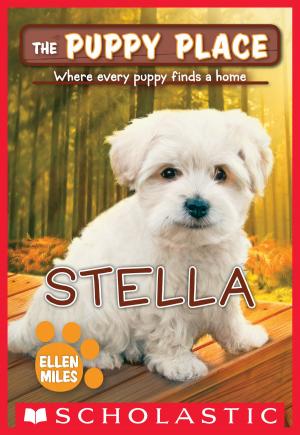 Cover of the book The Puppy Place #36: Stella by Gordon Korman