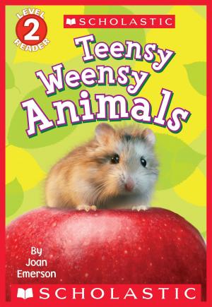 Book cover of Scholastic Reader Level 2: Teensy Weensy Animals