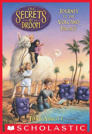Book cover of The Secrets of Droon #2: Journey to the Volcano Palace