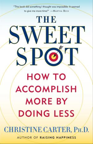Cover of the book The Sweet Spot by José L de la Torre