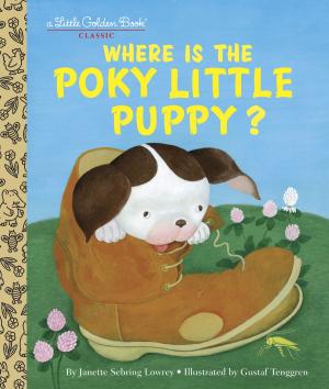 Cover of the book Where is the Poky Little Puppy? by Cynthia Voigt