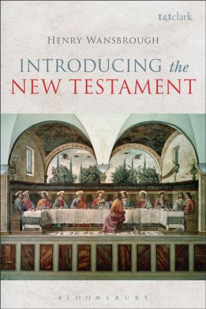 Cover of the book Introducing the New Testament by Allan Demond
