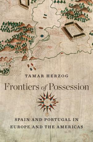 Cover of the book Frontiers of Possession by Pierre Rosanvallon