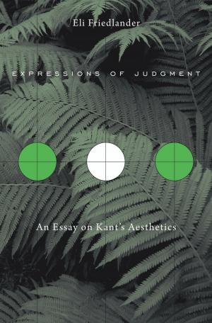 Cover of the book Expressions of Judgment by Seema Alavi