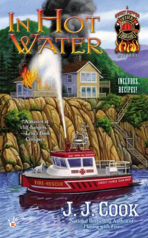 Cover of the book In Hot Water by Fanny Fern, Susan Belasco