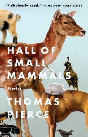 Cover of the book Hall of Small Mammals by Michael John Harris
