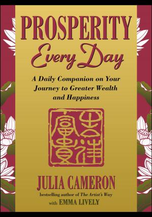 Cover of the book Prosperity Every Day by Ian Kelly