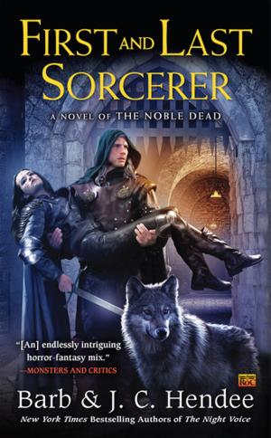 bigCover of the book First and Last Sorcerer by 