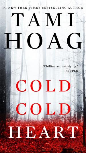 Cover of the book Cold Cold Heart by Daniel Galera
