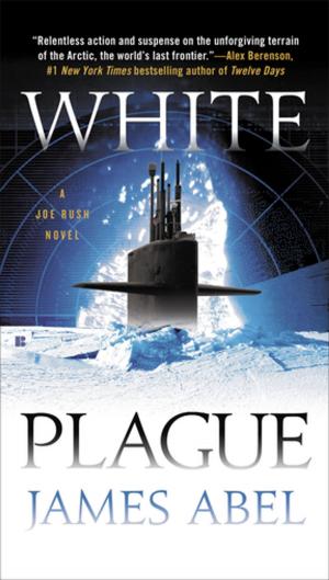 Cover of the book White Plague by Harold Frederic, Stanton Garner