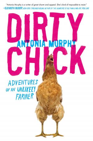 Cover of the book Dirty Chick by Samantha Young