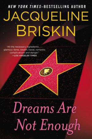 Cover of the book Dreams Are Not Enough by Simon Sinek