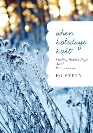 Cover of the book When Holidays Hurt by Max Lucado