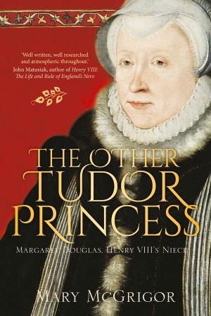 Book cover of Other Tudor Princess