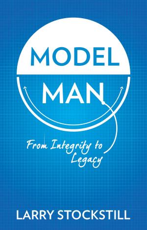 Book cover of Model Man