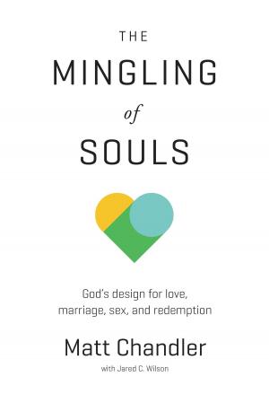 Cover of The Mingling of Souls