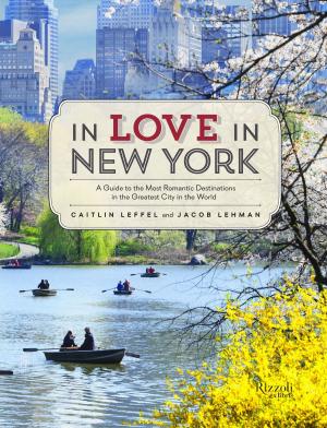 Book cover of In Love in New York