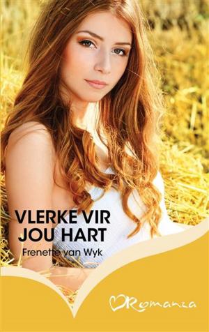 Cover of the book Vlerke vir jou hart by Eileen de Jager & Ilse Salzwedel Roelien Schutte