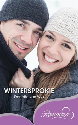 Cover of the book Wintersprokie by Alda Geers