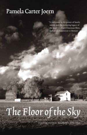 Cover of the book The Floor of the Sky by John Florio, Ouisie Shapiro
