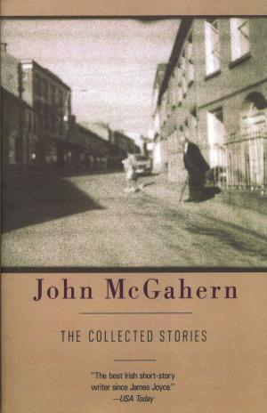Cover of the book The Collected Stories by Alan Hollinghurst