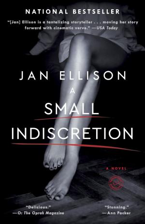 Cover of the book A Small Indiscretion by Sherry James