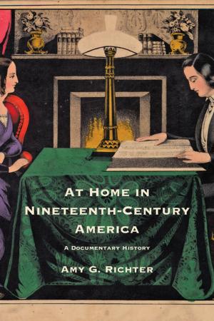 Cover of the book At Home in Nineteenth-Century America by Richard Delgado, Jean Stefancic