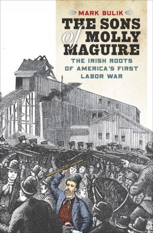 Cover of the book The Sons of Molly Maguire by Anthony Curtis Adler