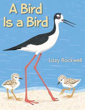 bigCover of the book A Bird Is a Bird by 