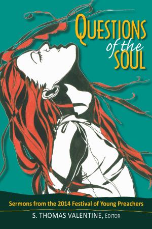Cover of the book Questions of the Soul by Rev. Dr. Matthew Kim