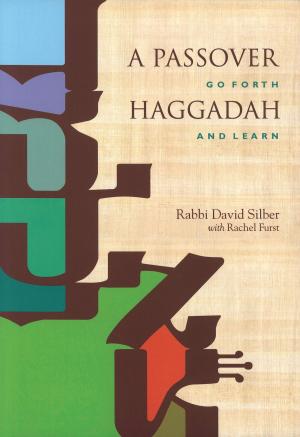 Book cover of A Passover Haggadah