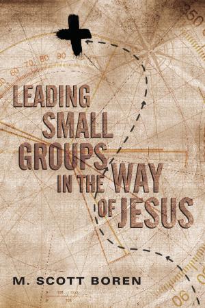Cover of the book Leading Small Groups in the Way of Jesus by Garth Hewitt
