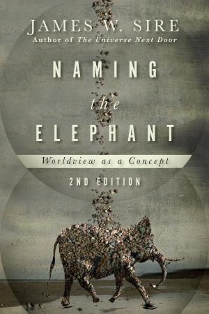 Cover of the book Naming the Elephant by Jennifer S. Ripley, Everett L. Worthington Jr.