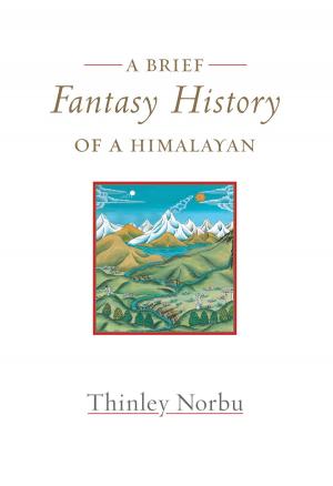 Cover of the book A Brief Fantasy History of a Himalayan by Andrew Harvey