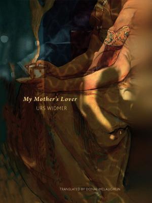 Cover of the book My Mother's Lover by Christa Wolf