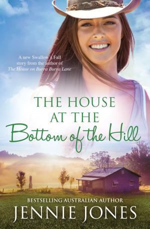 Book cover of The House At The Bottom Of The Hill