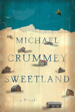 Cover of the book Sweetland: A Novel by Brian Matthew Jordan