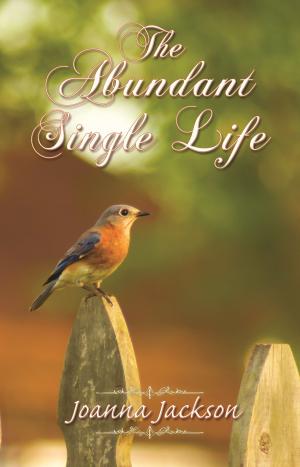 Cover of the book The Abundant Single Life by Dr. Raymond W. Barber