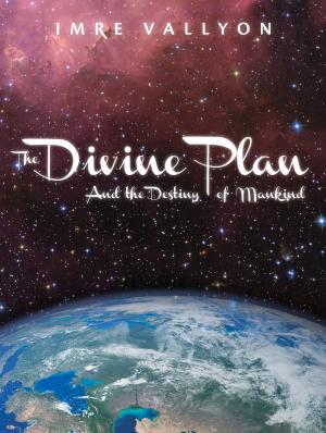 Book cover of The Divine Plan and the Destiny of Mankind