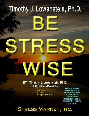 bigCover of the book Be Stress Wise by 